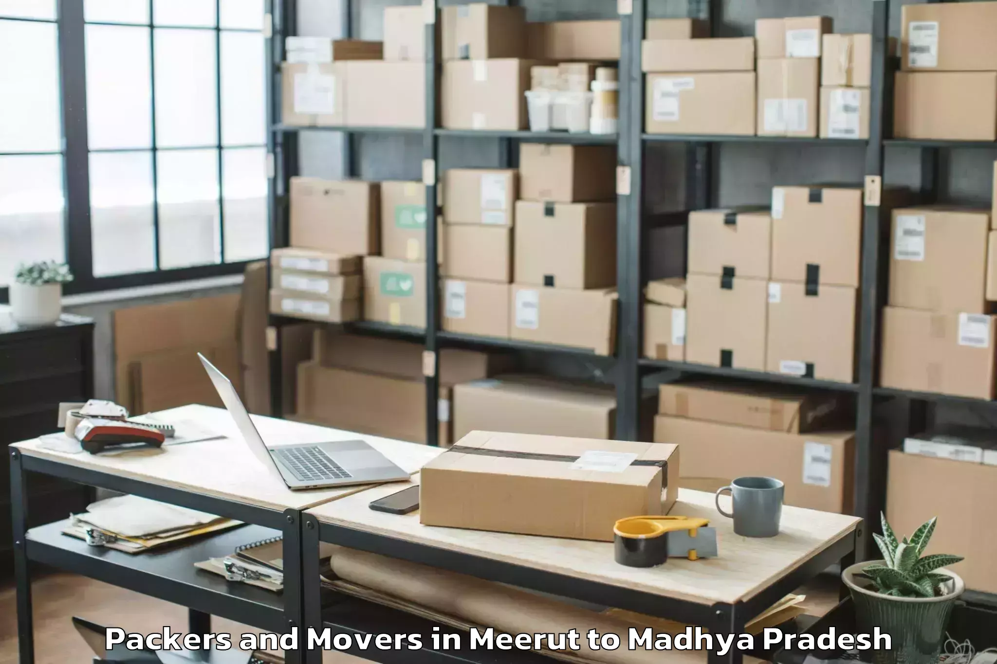 Professional Meerut to Badod Packers And Movers